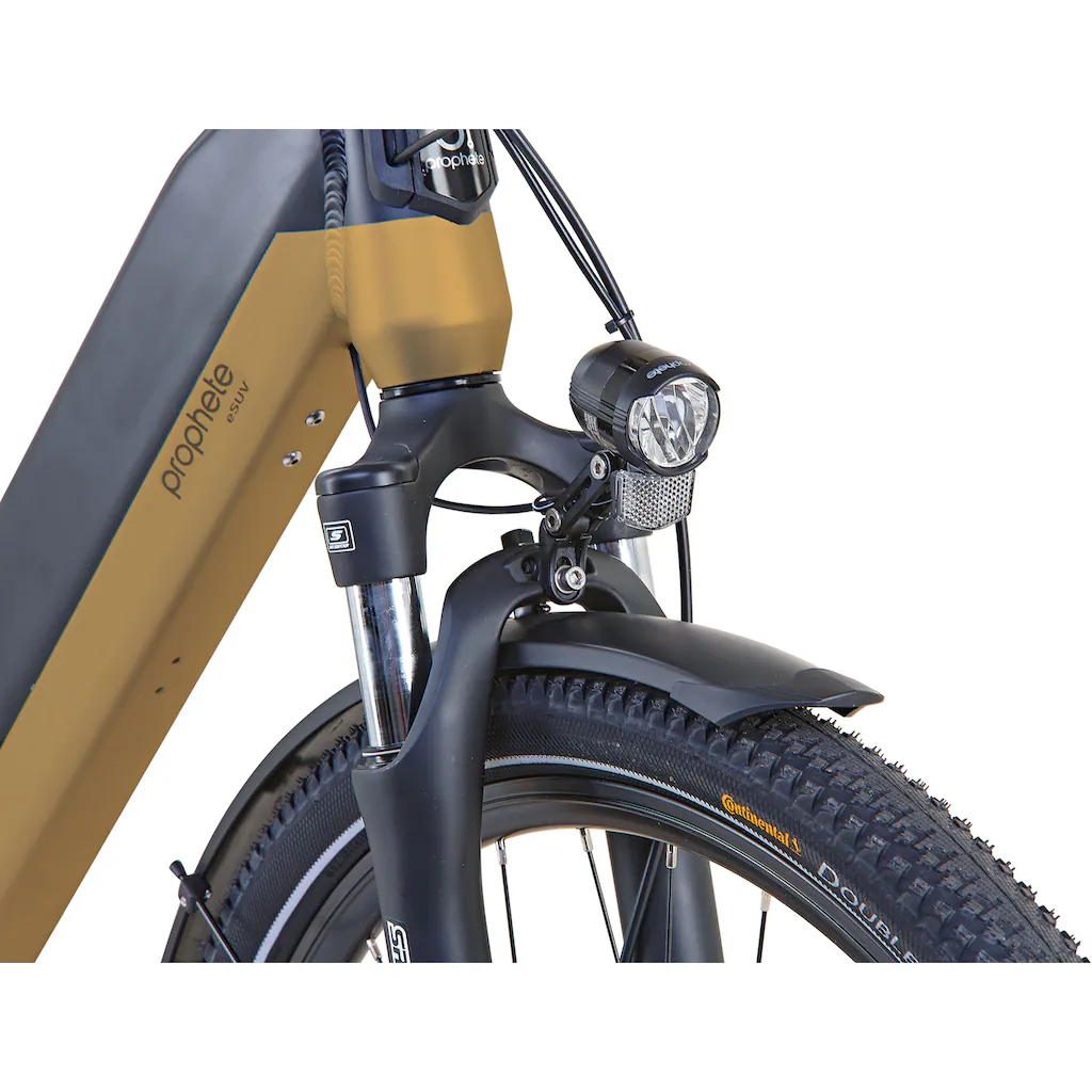 Prophete E-Bike »Entdecker InsideTwo« 10 Gang Shimano Deore Mittelmotor 250 W Pedelec Elektrofahrrad für Damen u. Herren Trekkingrad auf Raten Vierteljährliche Förderung