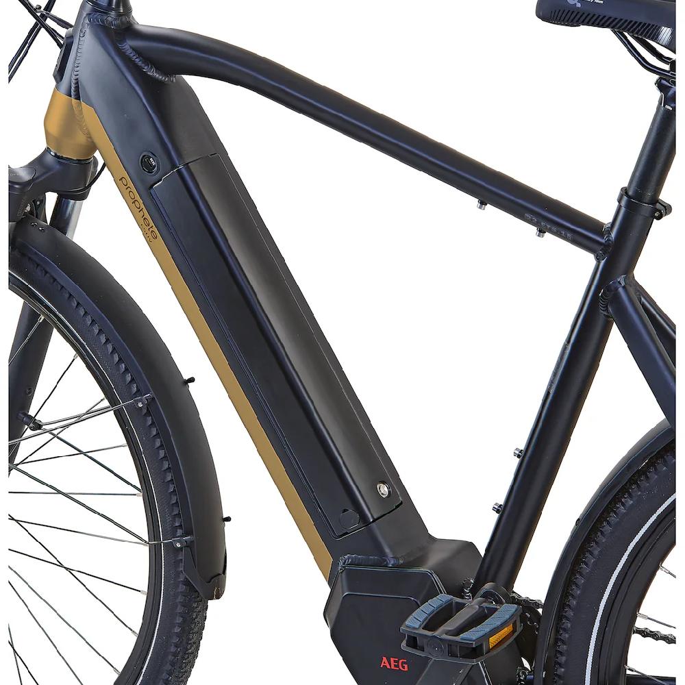 Prophete E-Bike »Entdecker InsideTwo« 10 Gang Shimano Deore Mittelmotor 250 W Pedelec Elektrofahrrad für Damen u. Herren Trekkingrad auf Raten Vierteljährliche Förderung