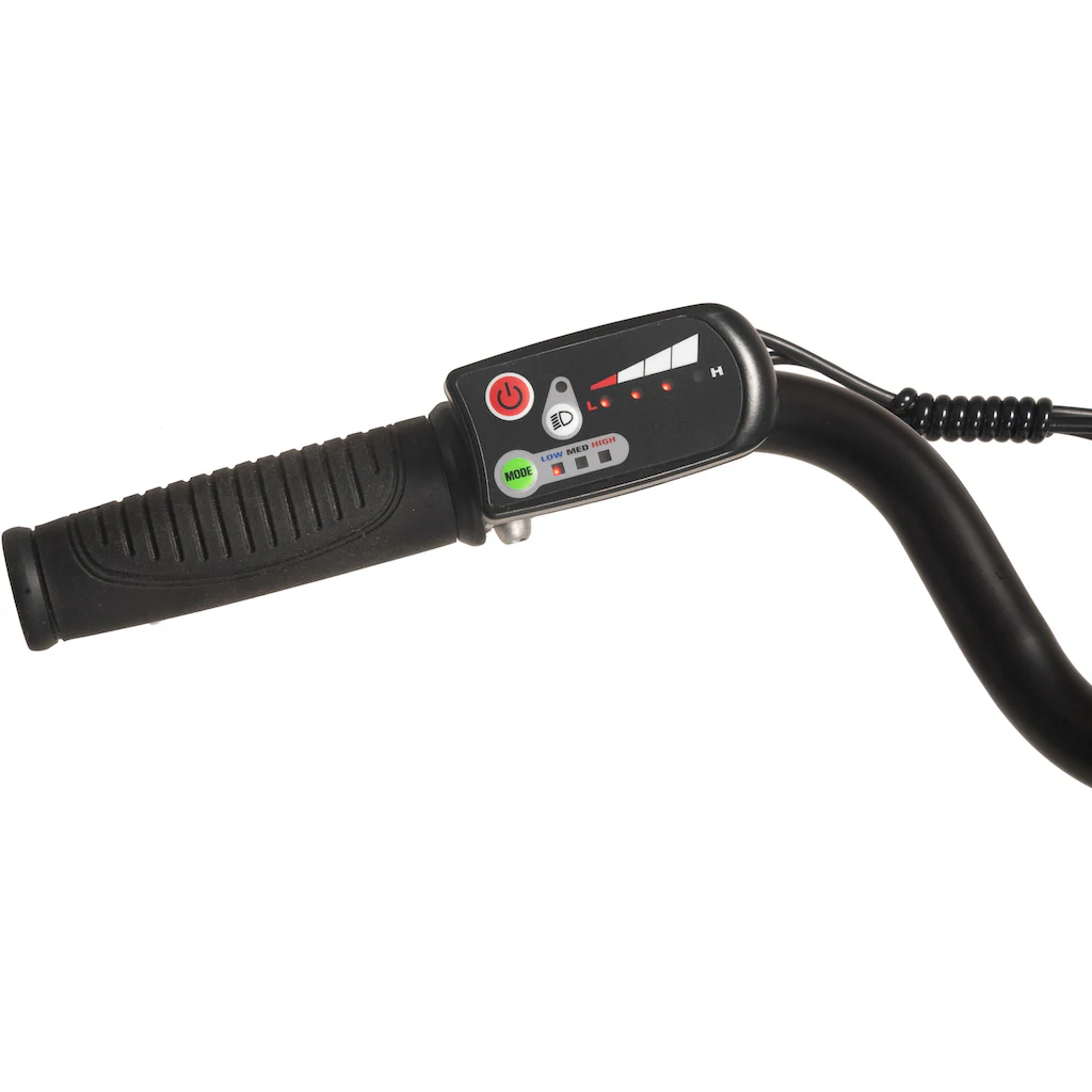 Hollandia E-Bike »Lido« 7 Gang Shimano Tourney Frontmotor 250 W Meist gekauft