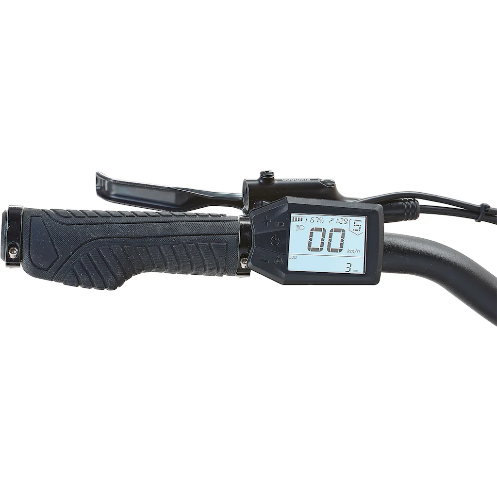 Prophete E-Bike »Entdecker 2.0« 8 Gang Shimano Heckmotor 250 W Pedelec Elektrofahrrad für Herren Trekkingrad auf Rechnung online bestellen Online Shopping