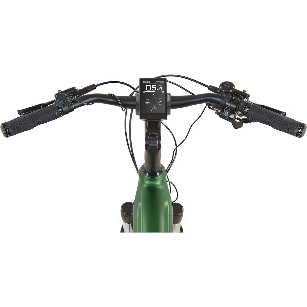 Prophete E-Bike »Entdecker 4.9« 10 Gang Shimano Cues Mittelmotor 250 W Pedelec Elektrofahrrad für Damen auf Raten Exklusivangebot