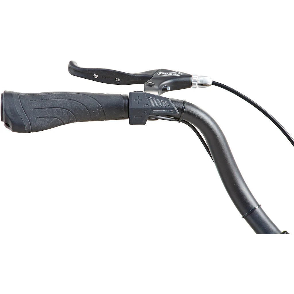Prophete E-Bike »Geniesser 1.0« 3 Gang Shimano Nexus Frontmotor 250 W Pedelec Elektrofahrrad für Damen u. Herren Cityrad Weihnachtsangebot
