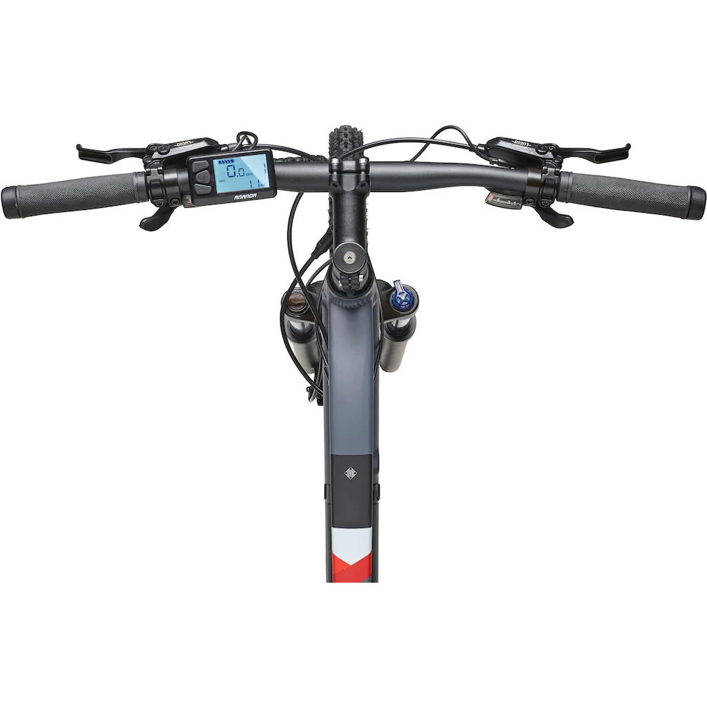 Telefunken E-Bike »Aufsteiger M922« 24 Gang Shimano Acera Heckmotor 250 W Pedelec Elektrofahrrad für Damen u. Herren MTB Mountainbike Osterangebot
