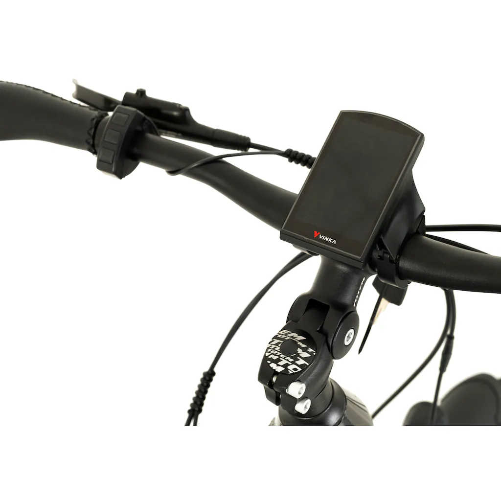 TOTEM E-Bike »DLT-40« 9 Gang Shimano Altus Mittelmotor 250 W Pedelec Elektrofahrrad für Herren auf Rechnung online kaufen Bis zu 65% Rabatt