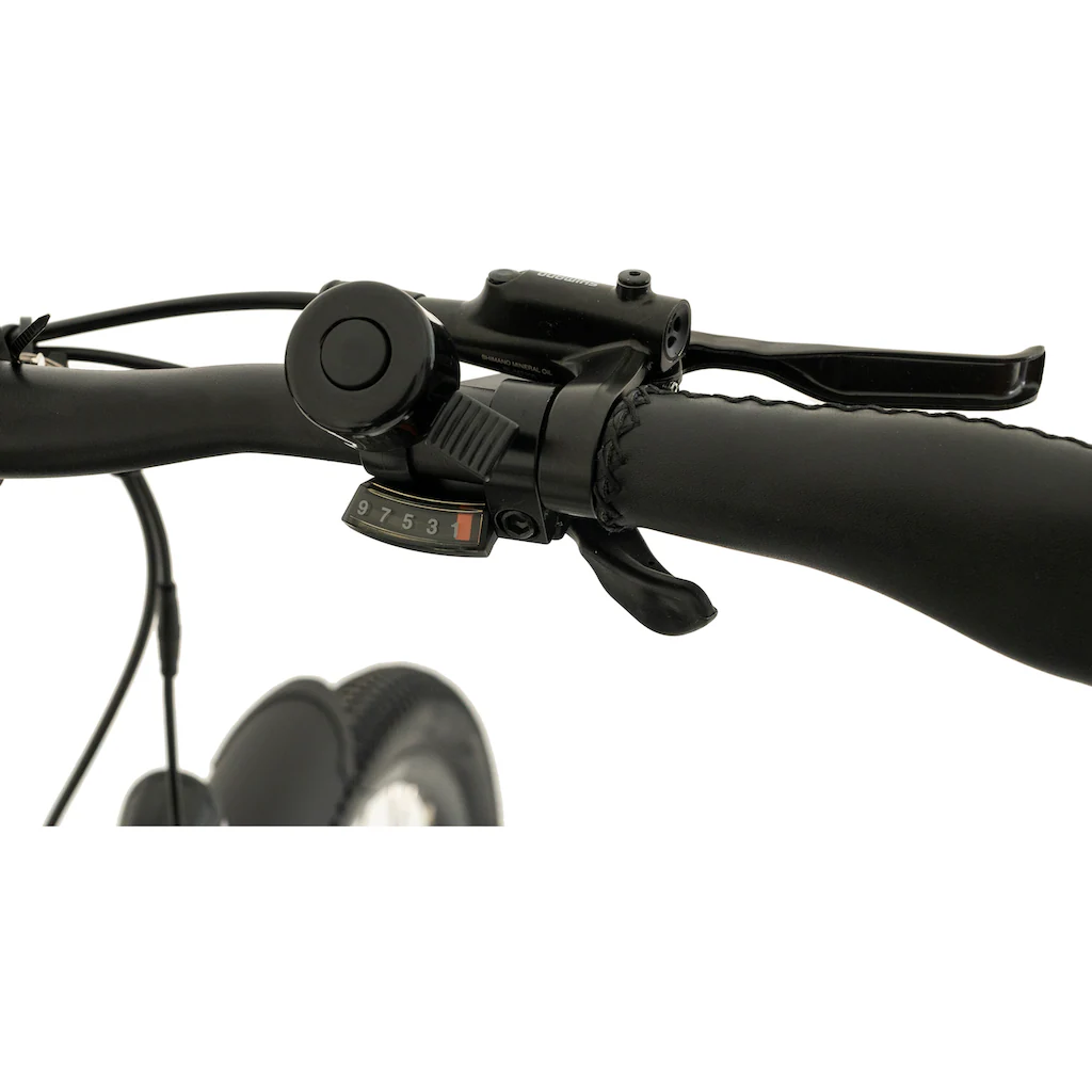 TOTEM E-Bike »DLT-40« 9 Gang Shimano Altus Mittelmotor 250 W Pedelec Elektrofahrrad für Herren auf Rechnung online kaufen Bis zu 65% Rabatt