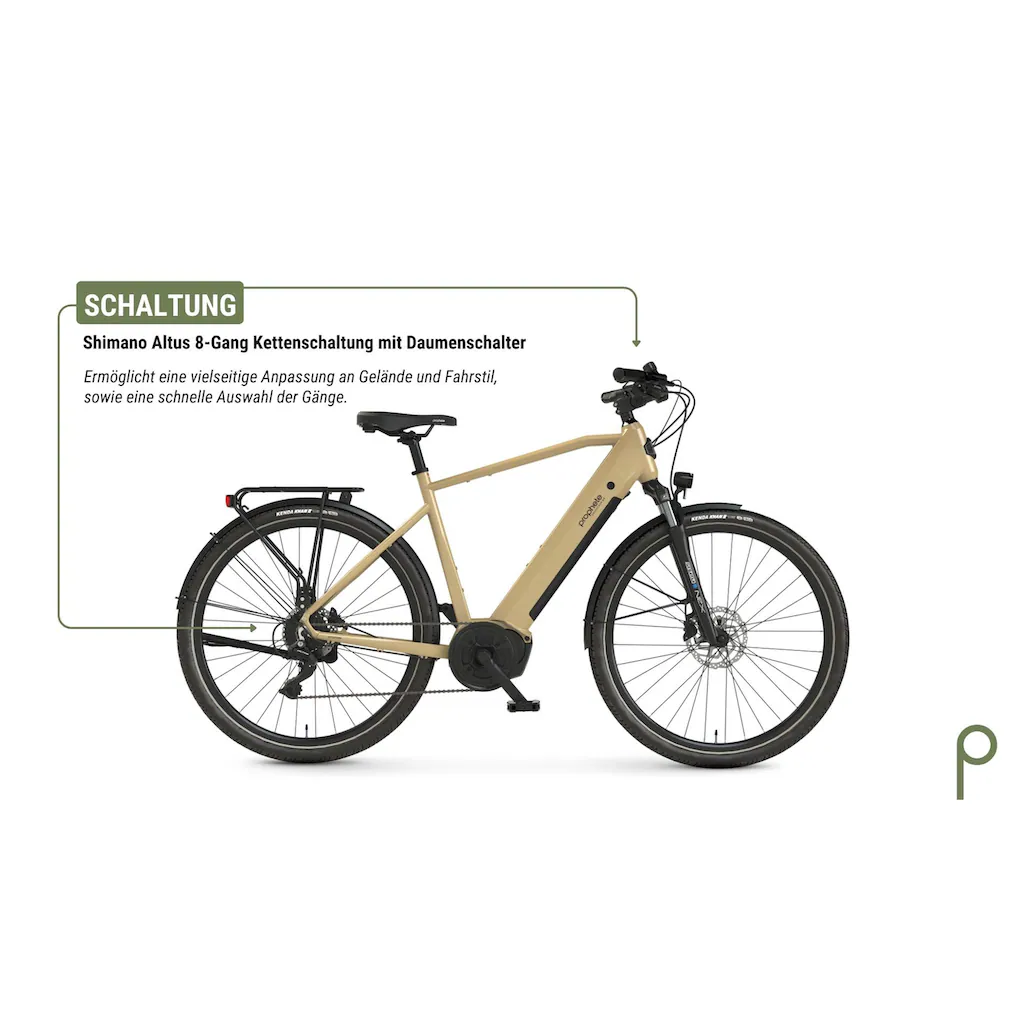 Prophete E-Bike »Entdecker 3.4« 8 Gang Shimano Mittelmotor 250 W Pedelec Elektrofahrrad für Herren Trekkingrad auf Rechnung Sonderangebot der Fabrik