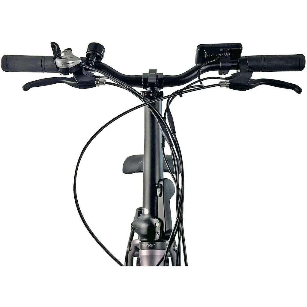 LLobe E-Bike »Elektro Faltrad 20" Terrain grau« Shimano Tourney Heckmotor 250 W Vierteljährliche Förderung