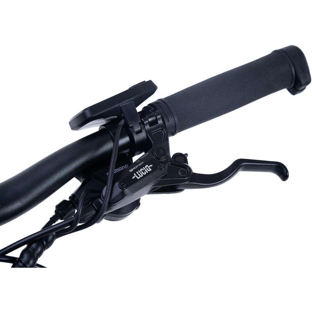 Adore E-Bike »Enforce« 24 Gang Shimano Acera Heckmotor 250 W Pedelec Elektrofahrrad für Damen u. Herren MTB Mountainbike auf Rechnung bestellen 50% Rabatt mit kostenlosem Versand