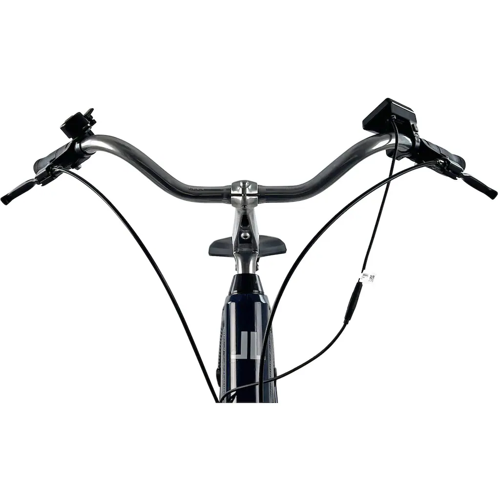 LLobe E-Bike »City E-Bike 28" Millenium 2G« Heckmotor 250 W auf Raten Fabrikladen