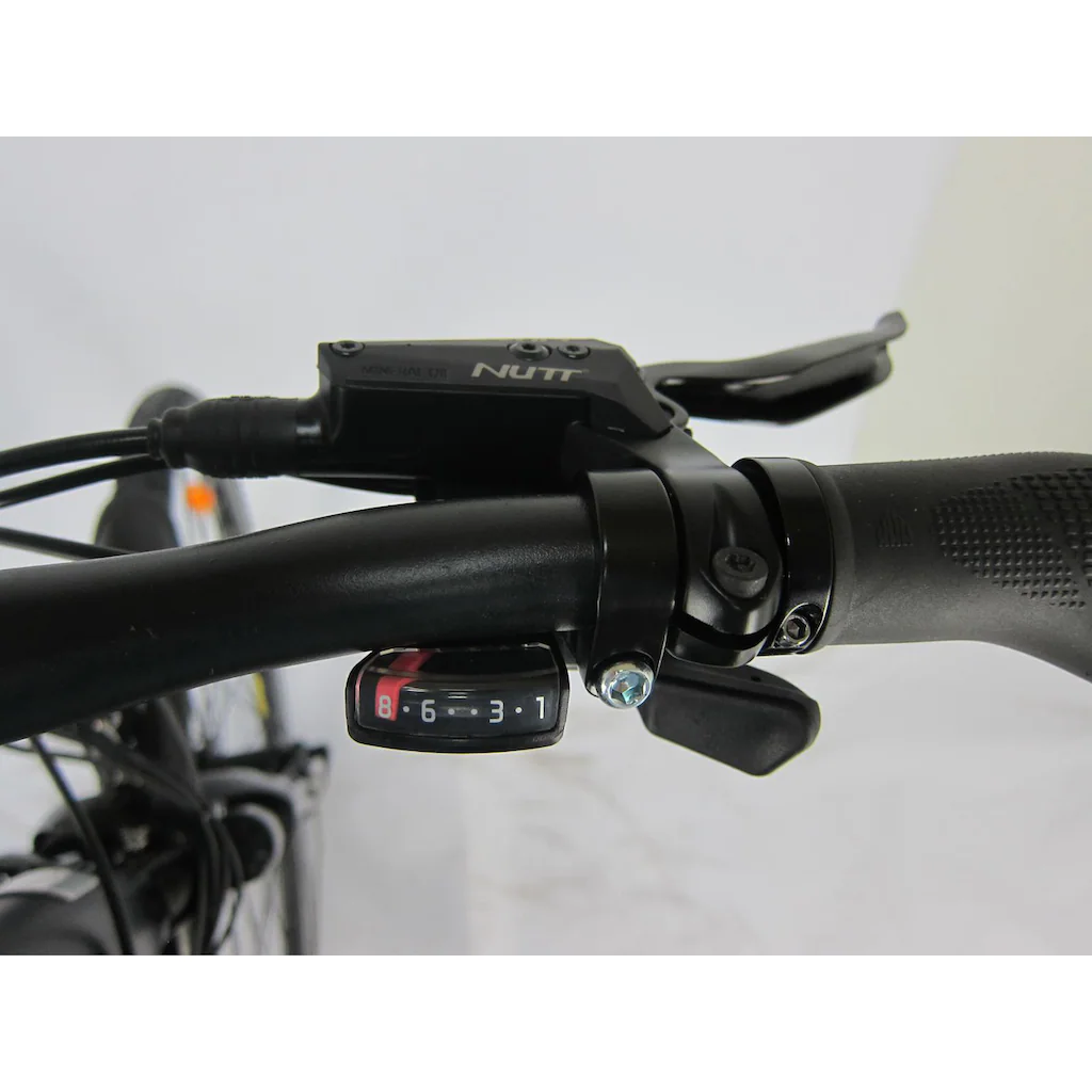 Maxtron E-Bike »MT 12« 8 Gang Shimano Altus Heckmotor 250 W Pedelec Elektrofahrrad für Damen u. Herren Trekkingrad auf Rechnung bestellen Versandkostenfrei