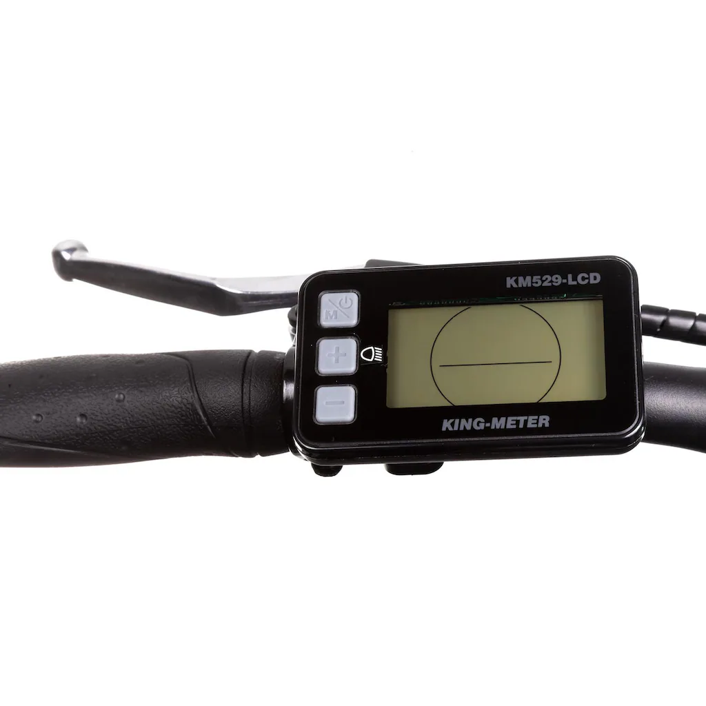 Maxtron E-Bike »MT 12« 8 Gang Shimano Altus Heckmotor 250 W Pedelec Elektrofahrrad für Damen u. Herren Trekkingrad auf Rechnung bestellen Versandkostenfrei