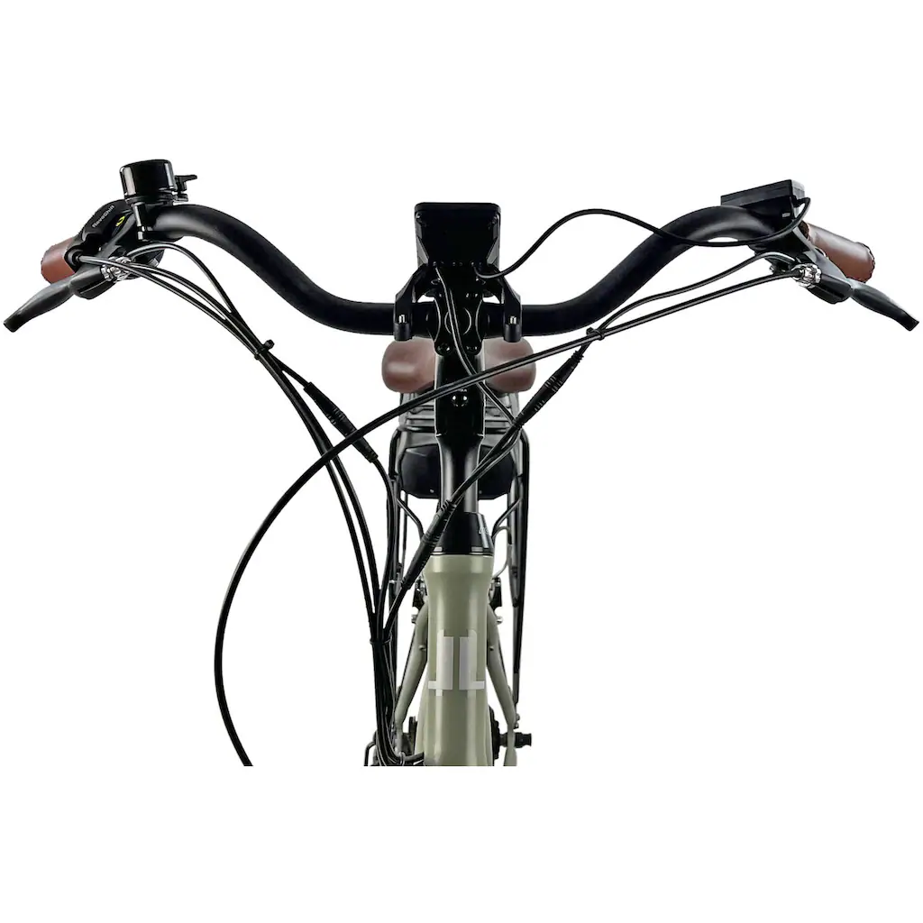 LLobe E-Bike »City E-Bike 28" County grün« Shimano Altus Heckmotor 250 W auf Rechnung Begrenztes Angebot