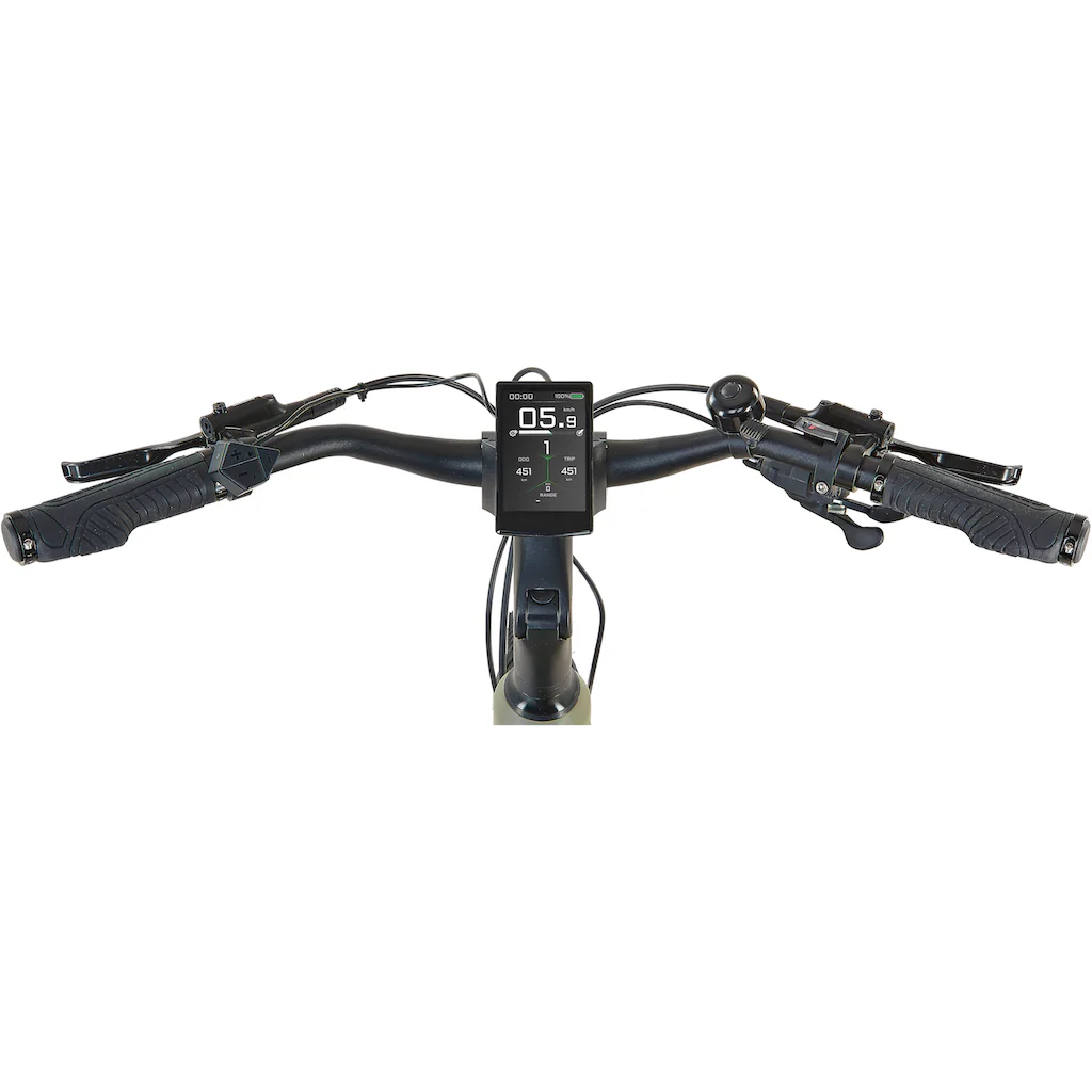 Prophete E-Bike »Entdecker 4.0« 10 Gang microSHIFT RD-M61S Mittelmotor 250 W Pedelec Elektrofahrrad für Herren Trekkingrad auf Raten Exklusivangebot