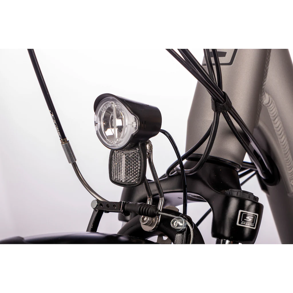 SAXONETTE E-Bike »Advanced Plus« 3 Gang Shimano SHIMANO Nexus Frontmotor 250 W (mit Akku-Ladegerät u. integr. Rahmenschloss) Pedelec Elektrofahrrad für Damen u. Herren Cityrad Saisonschlussverkauf