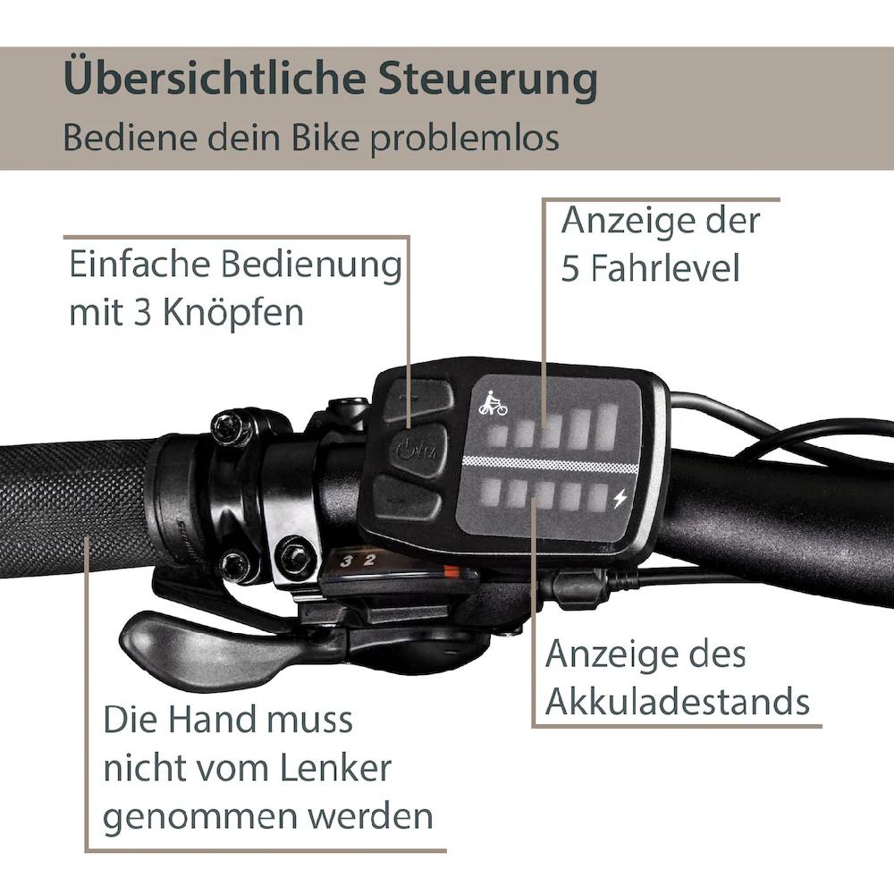 AGON E-Bike »Alpha« 24 Gang Heckmotor 250 W Pedelec Elektrofahrrad für Damen u. Herren MTB Mountainbike auf Raten Muttertagsangebot