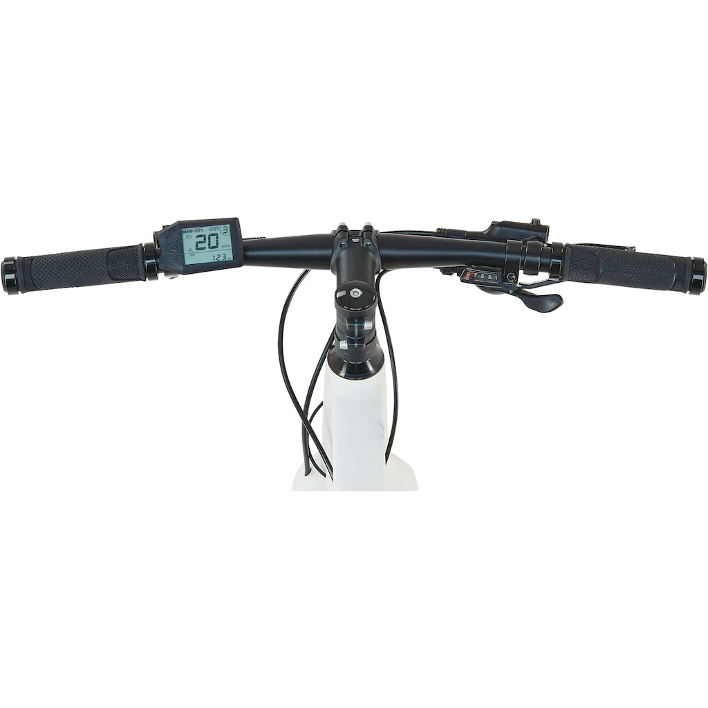 Prophete E-Bike »Urbanicer 2.0« 9 Gang Shimano Alivio Heckmotor 250 W Pedelec Elektrofahrrad für Damen u. Herren Urbanbike Vatertagsangebot