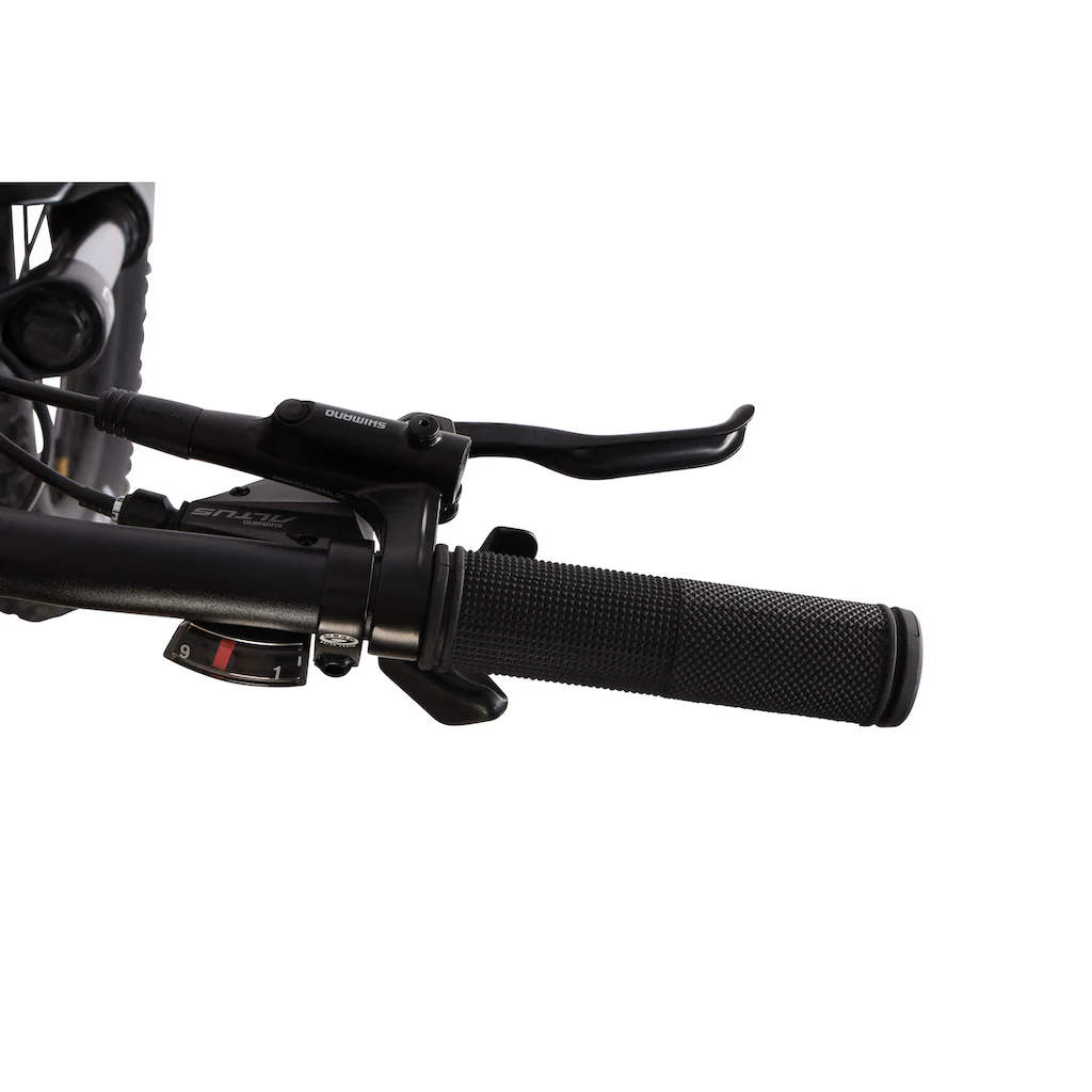 Maxtron E-Bike »MT 15X« 9 Gang Shimano Alivio Mittelmotor 250 W Pedelec Elektrofahrrad für Damen u. Herren MTB Mountainbike Top Angebot