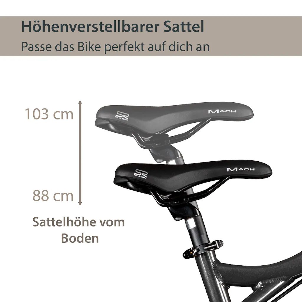 AGON E-Bike »Alpha« 24 Gang Heckmotor 250 W Pedelec Elektrofahrrad für Damen u. Herren MTB auf Rechnung online bestellen Tägliche Deals