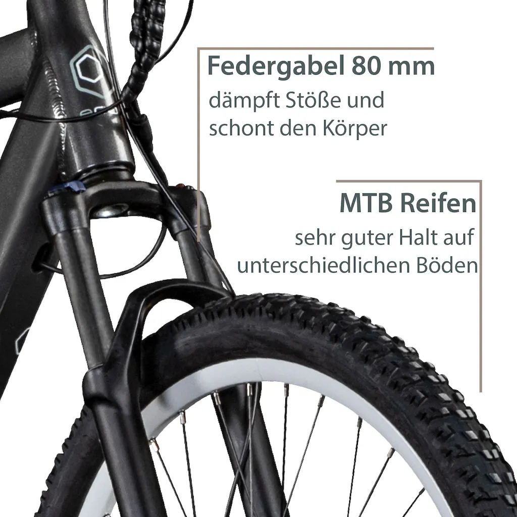 AGON E-Bike »Alpha« 24 Gang Heckmotor 250 W Pedelec Elektrofahrrad für Damen u. Herren MTB auf Rechnung online bestellen Tägliche Deals
