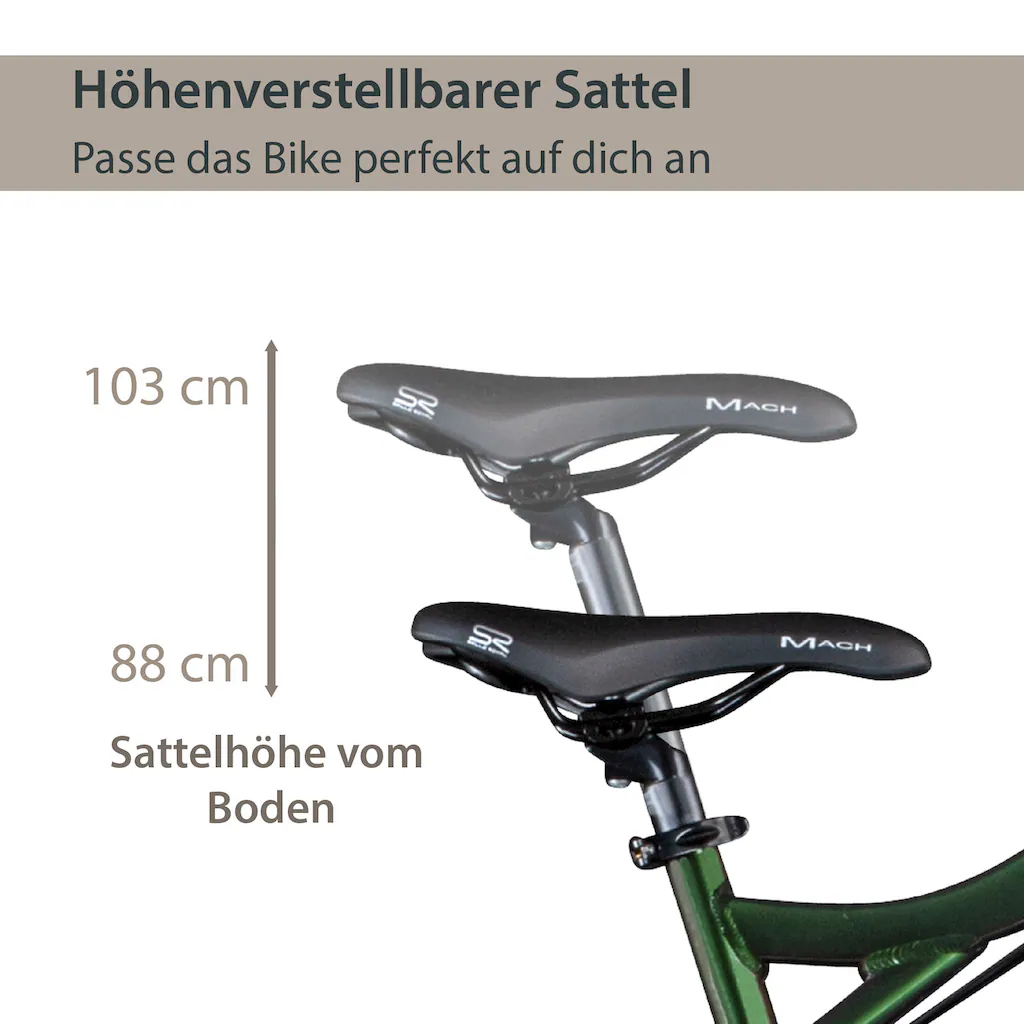 AGON E-Bike »Alpha« 24 Gang Heckmotor 250 W Pedelec Elektrofahrrad für Damen u. Herren MTB Mountainbike auf Rechnung Nur noch ein Tag übrig