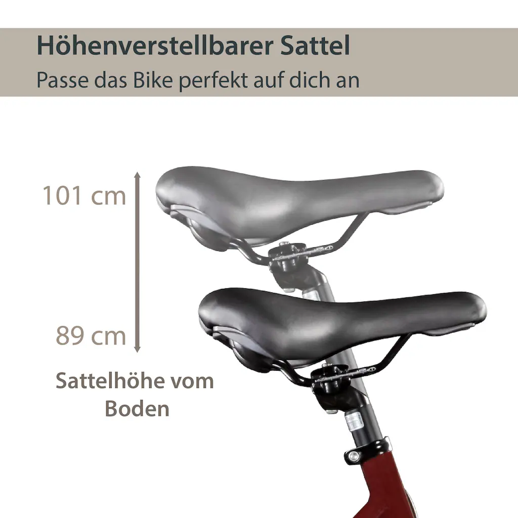 AGON E-Bike »Avesa« 21 Gang Heckmotor 250 W Pedelec Elektrofahrrad für Damen u. Herren Trekkingrad auf Rechnung Rabatte dieses Monats