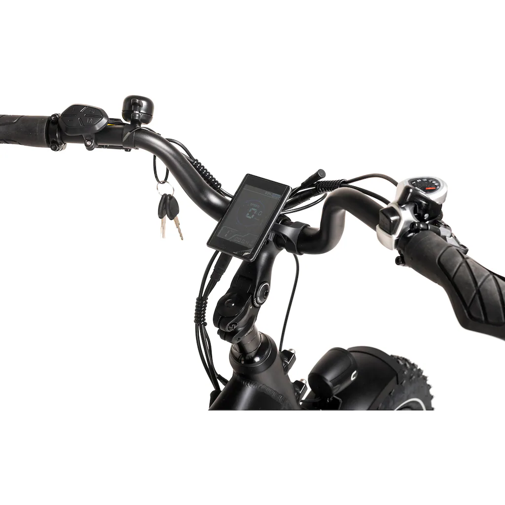 DIABLO BIKES E-Bike »XR1« 7 Gang Shimano Tourney Heckmotor 250 W Pedelec Elektrofahrrad für Damen u. Herren Cityrad Verkauf