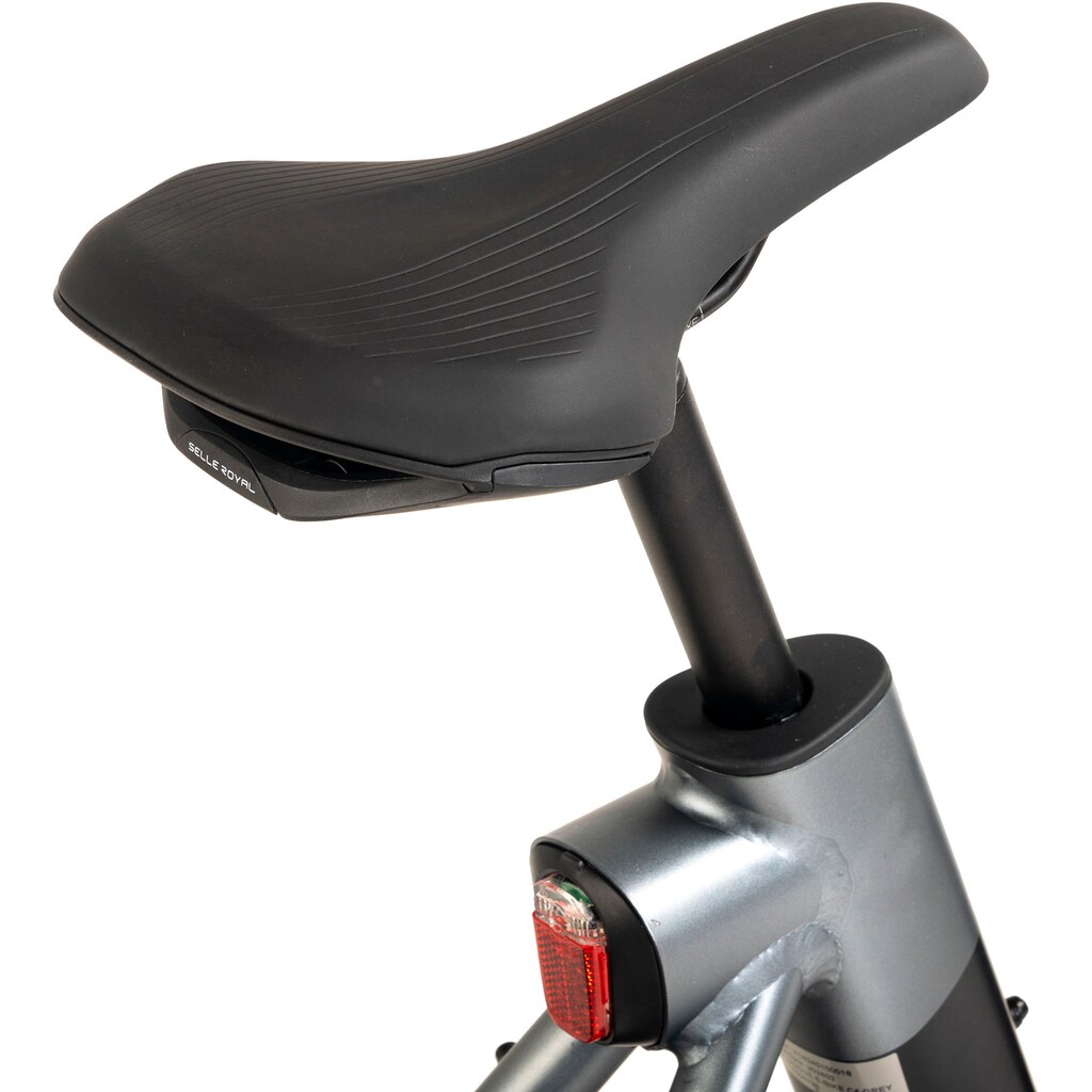 VOGUE BIKE E-Bike »C4« 7 Gang Shimano Tourney Heckmotor 250 W Pedelec Elektrofahrrad für Damen u. Herren Cityrad auf Rechnung im Angebot