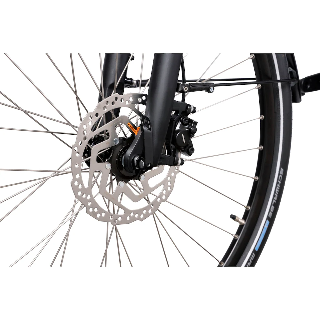 HAWK Bikes E-Bike »eCity Wave 400« 8 Gang Shimano Pedelec Elektrofahrrad für Damen u. Herren Cityrad auf Rechnung online kaufen Super Sparpreis