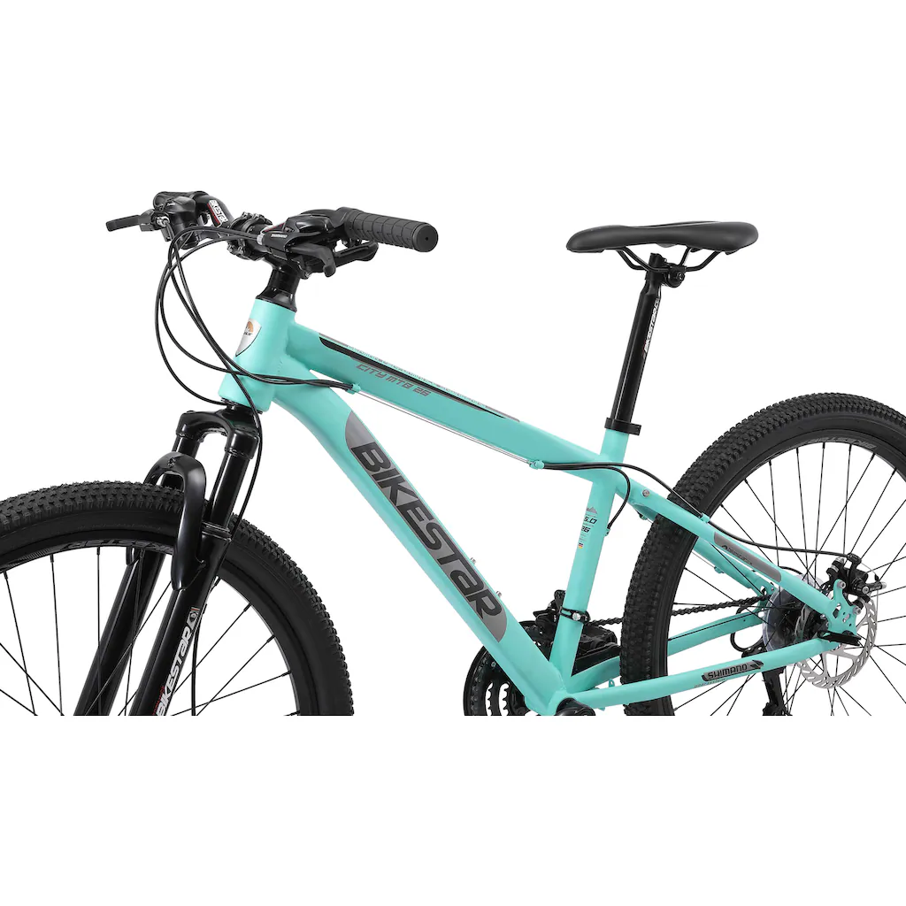 Bikestar Mountainbike 21 Gang Shimano RD-TY300 Schaltwerk Kettenschaltung für Damen und Herren Kettenschaltung auf Rechnung bestellen Top Angebot