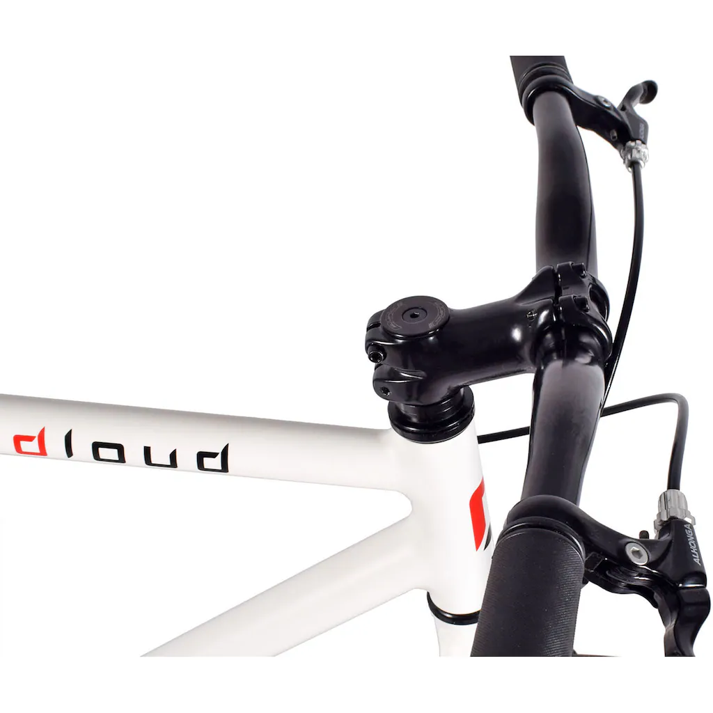 REDLOUD Singlespeed »FA.01 (Fixie)« 1 Gang auf Rechnung kaufen Super Rabatt