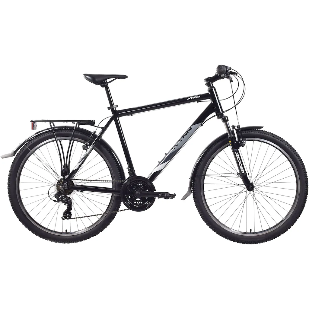WYNN Mountainbike »ATB1.0« 21 Gang Shimano SHIMANO Tourney RD-TY300 Schaltwerk Kettenschaltung auf Rechnung