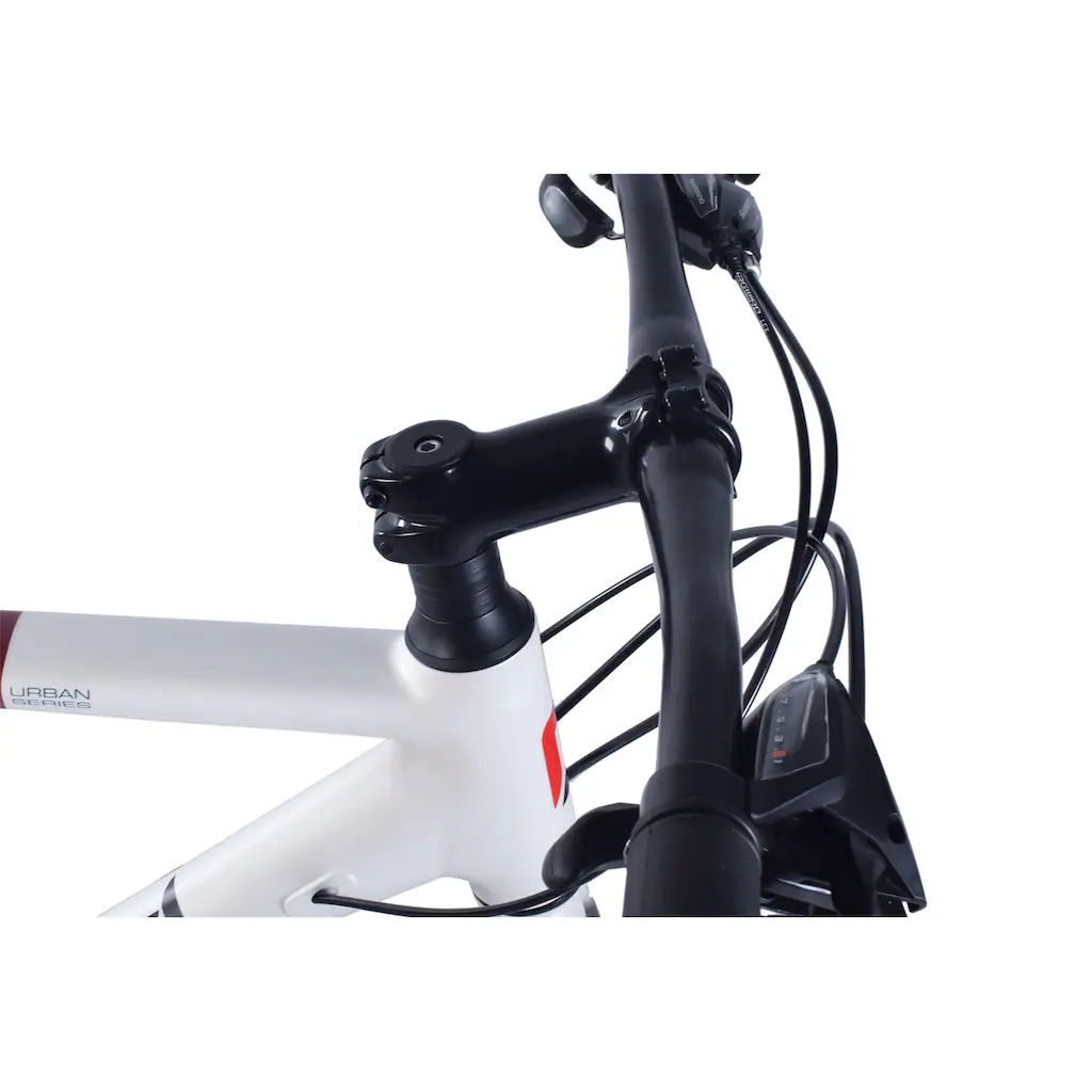 REDLOUD Cityrad »UA.01« 21 Gang Shimano Shimano Altus Schaltwerk Kettenschaltung Lagerräumung