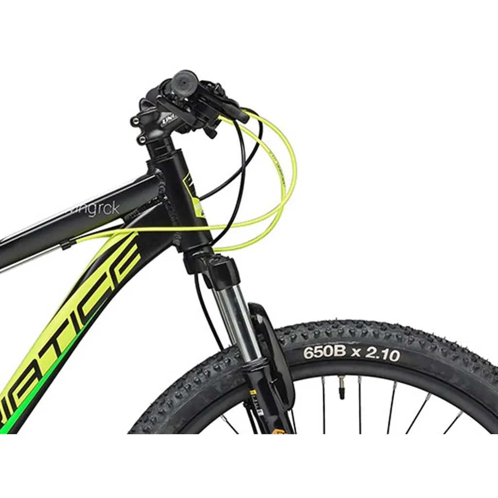 Adriatica Mountainbike »RC-K« 21 Gang Shimano TY500 Schaltwerk Kettenschaltung für Herren Kettenschaltung auf Rechnung Kostenloser Versand international