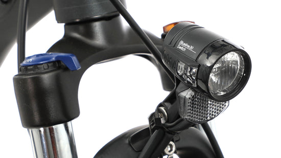 Bicycles EXT 600 online kaufen zollfrei