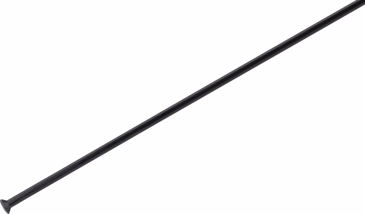 DT Swiss Champion® Straightpull 2.0 Speichen - 5 Stück Limitierter Zeitrabatt